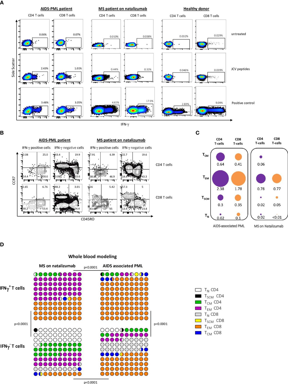 Frequent detection of IFN-gamma -producing memory effector and effector T cells in patients with progressive multifocal leukoencephalopathy