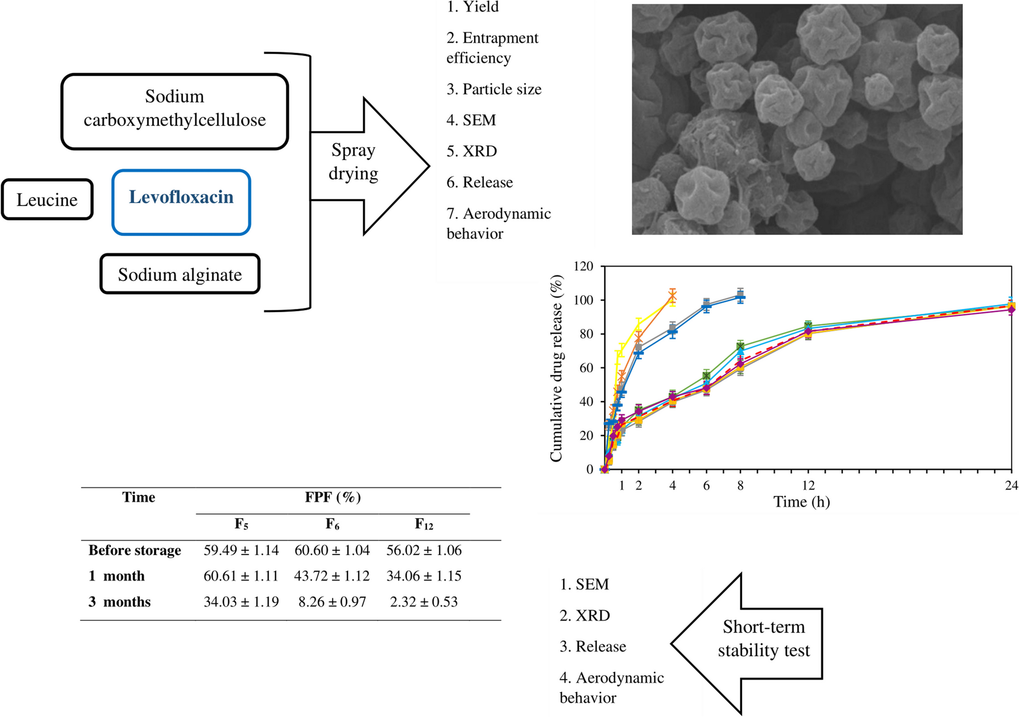 Evaluating the effect of sodium alginate and sodium carboxymethylcellulose on pulmonary delivery of levofloxacin spray-dried microparticles