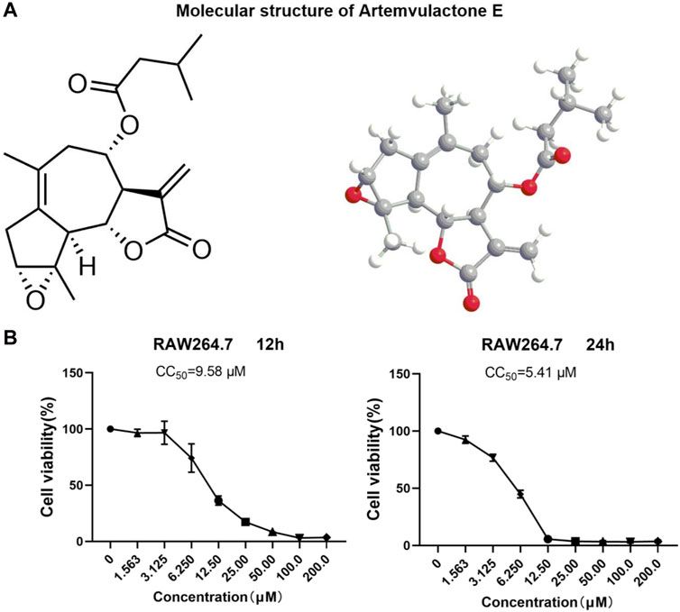 Artemvulactone E isolated from Artemisia vulgaris L. ameliorates lipopolysaccharide-induced inflammation in both RAW264.7 and zebrafish model