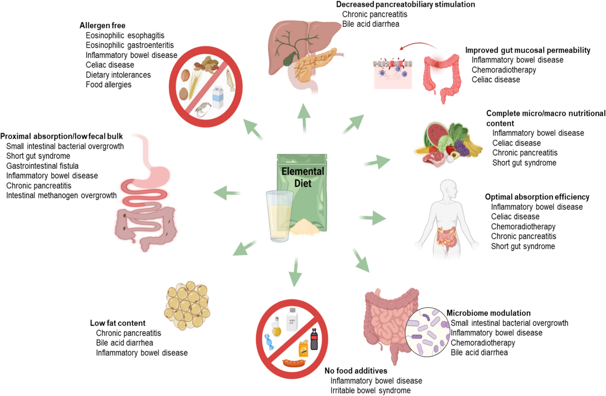 Elemental Diet as a Therapeutic Modality: A Comprehensive Review