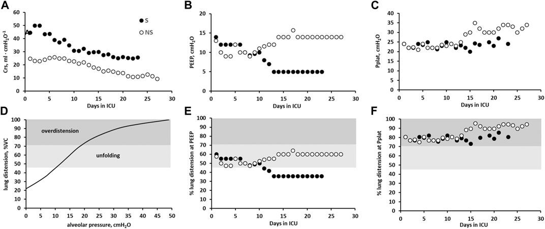 Modelling lung diffusion-perfusion limitation in mechanically ventilated SARS-CoV-2 patients