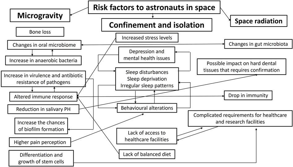 Considerations for oral and dental tissues in holistic care during long-haul space flights