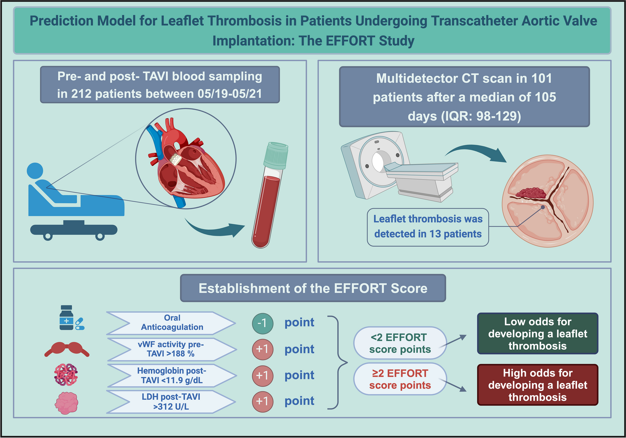 Prediction model for leaflet thrombosis in patients undergoing transcatheter aortic valve implantation: the EFFORT study