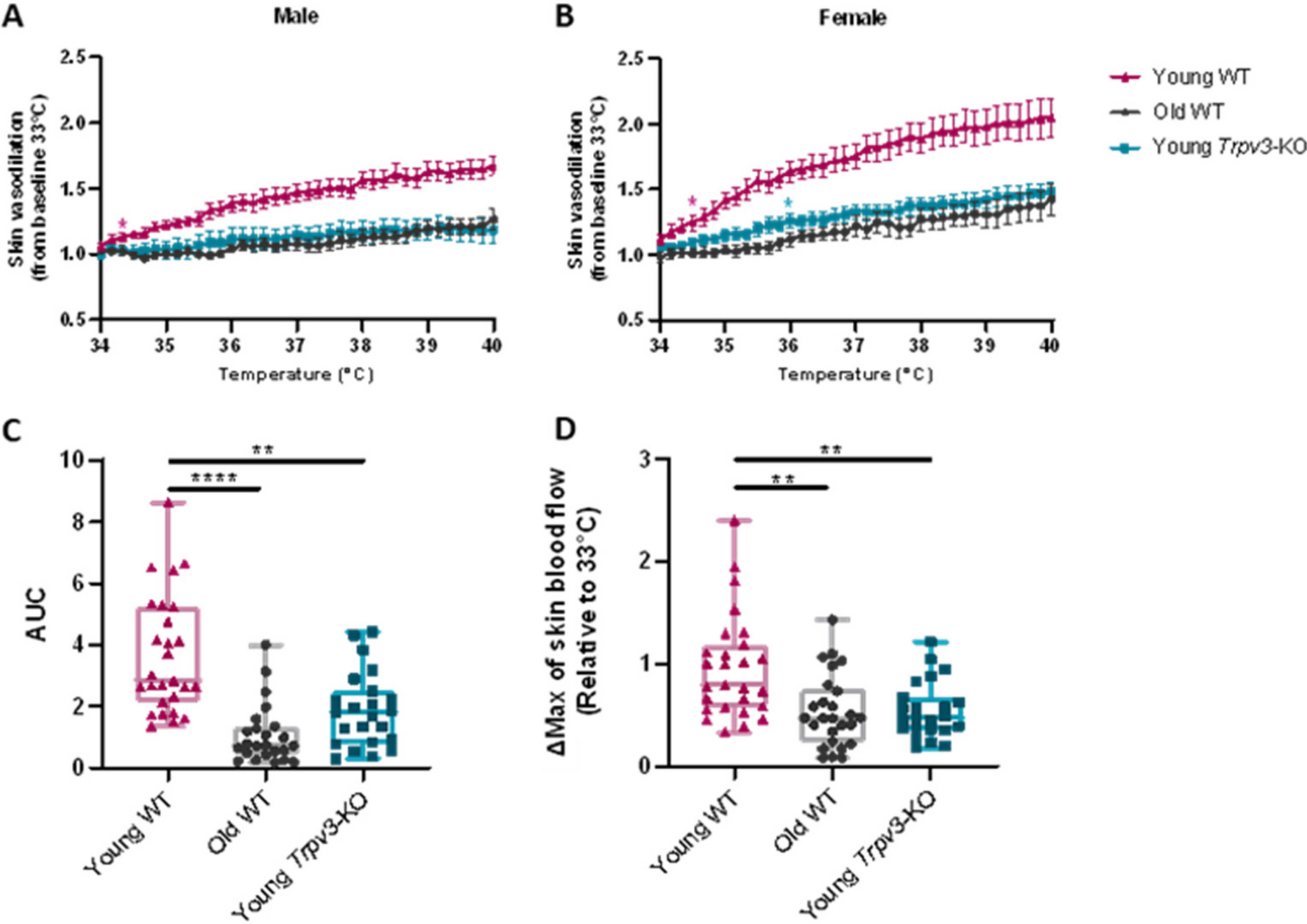 Aging is associated with impaired triggering of TRPV3-mediated cutaneous vasodilation: a crucial process for local heat exposure