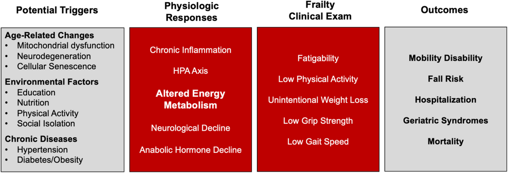 Metabolic dysfunction and the development of physical frailty: an aging war of attrition