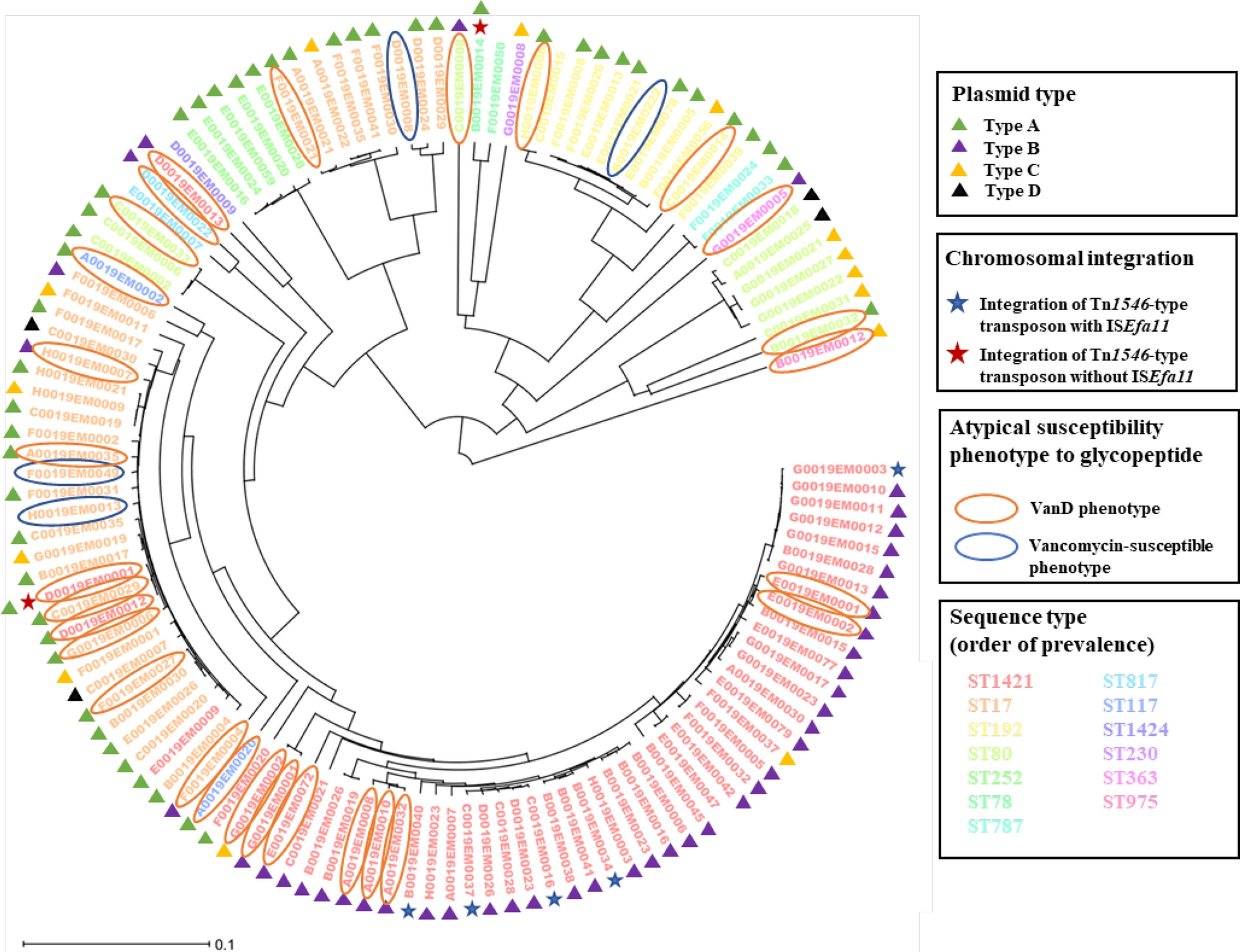 Fitness costs of Tn1546-type transposons harboring the vanA operon by plasmid type and structural diversity in Enterococcus faecium
