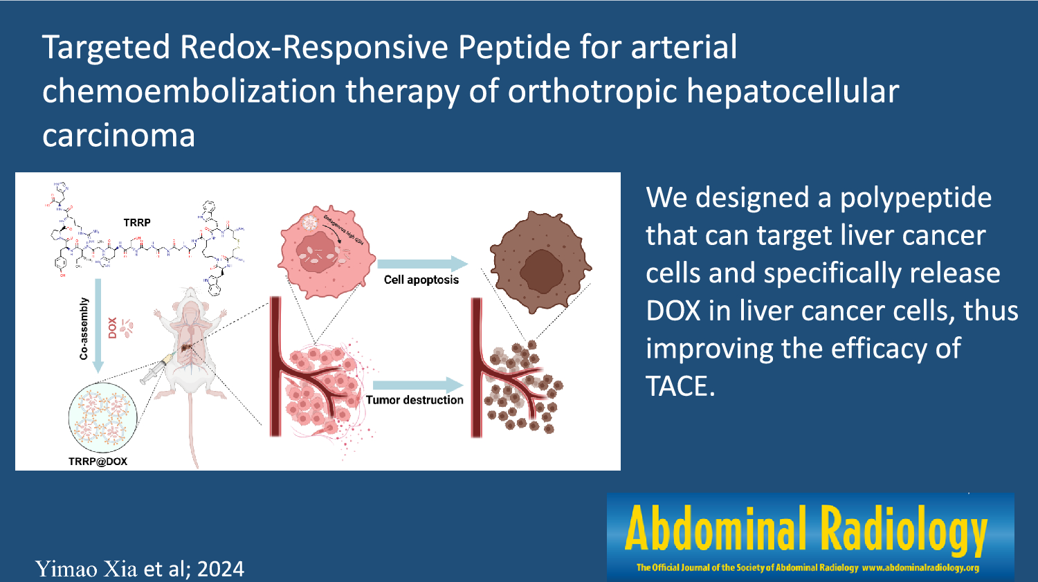 Targeted redox-responsive peptide for arterial chemoembolization therapy of orthotropic hepatocellular carcinoma