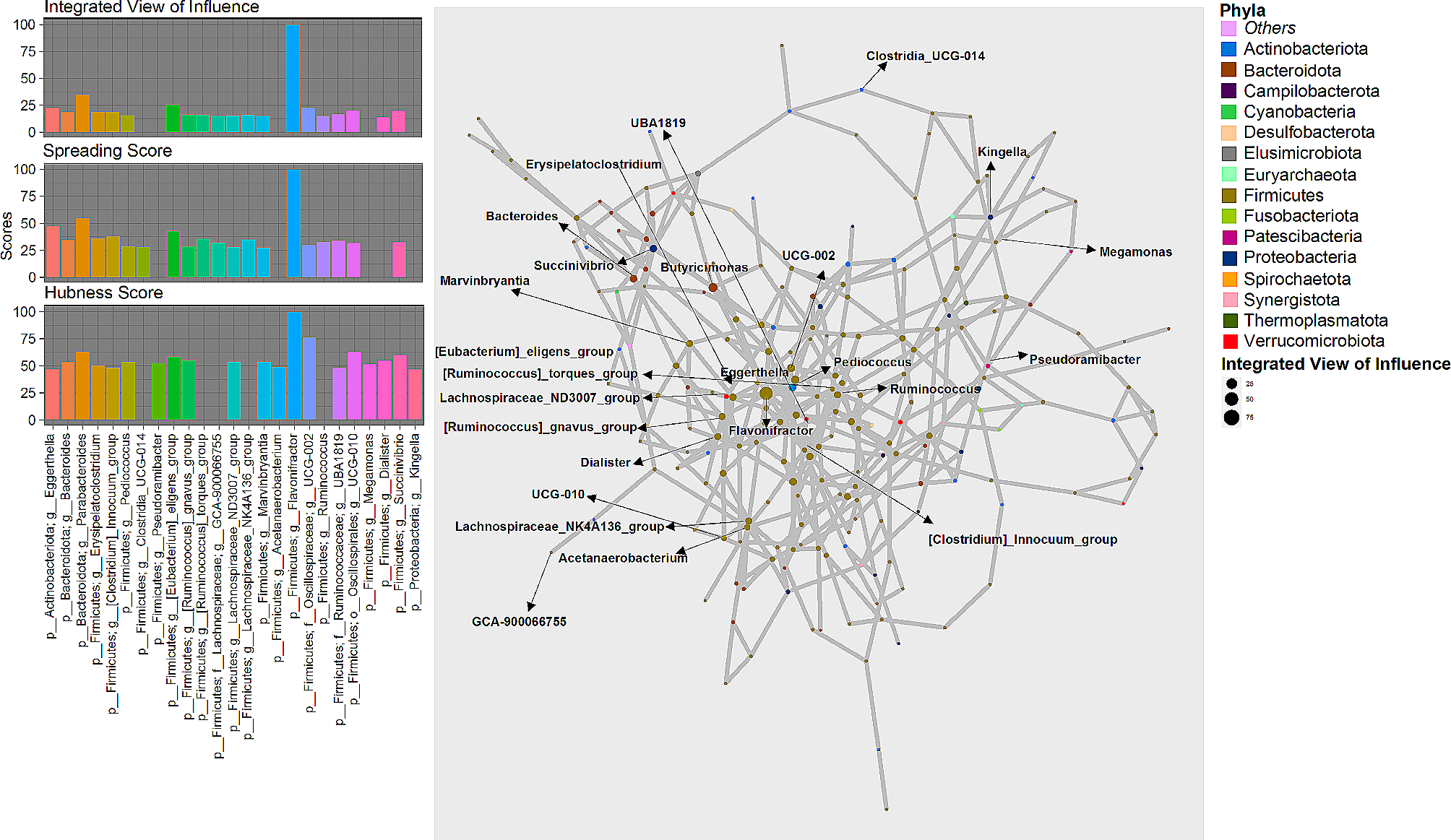 Network analysis of gut microbial communities reveal key genera for a multiple sclerosis cohort with Mycobacterium avium subspecies paratuberculosis infection