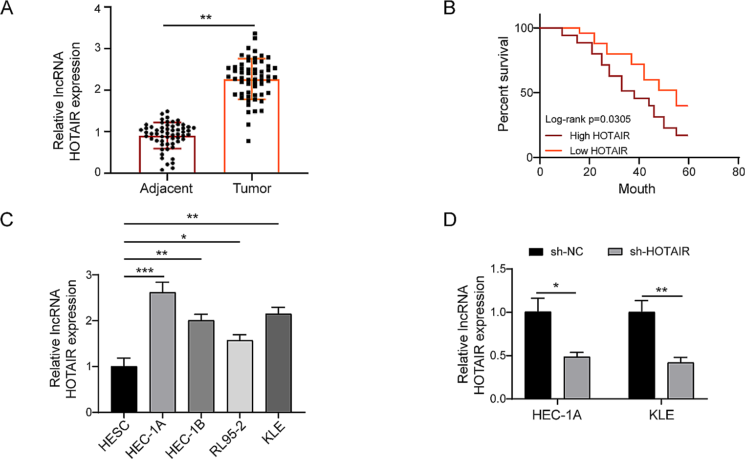 ZBTB7A regulates LncRNA HOTAIR-mediated ELAVL1/SOX17 axis to inhibit malignancy and angiogenesis in endometrial carcinoma