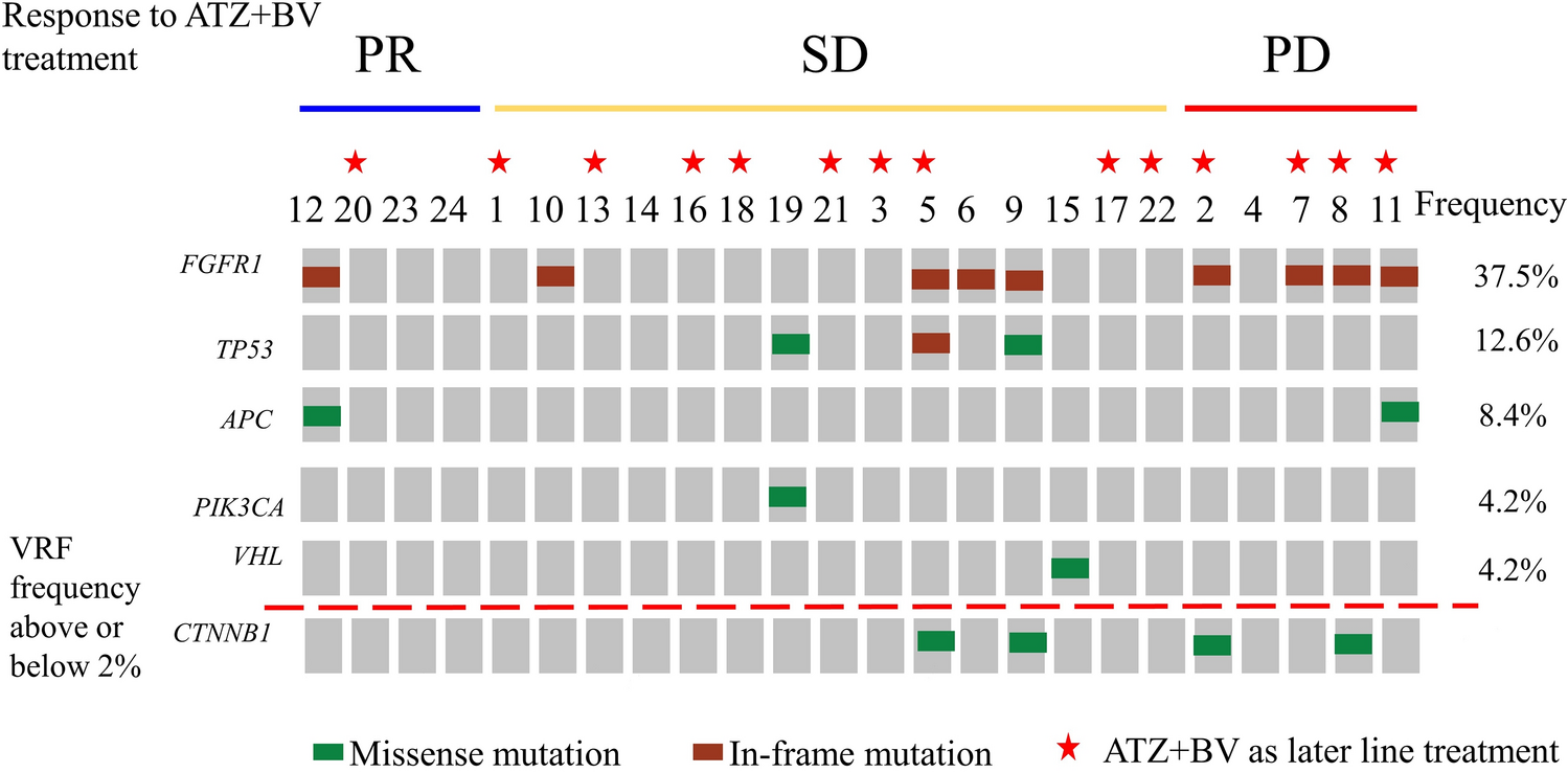 Clinical significance of circulating biomarkers of immune-checkpoint molecules with atezolizumab plus bevacizumab therapy in unresectable hepatocellular carcinoma