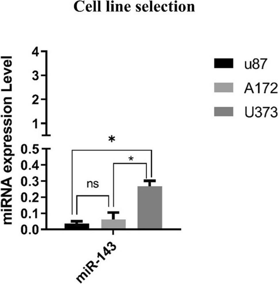 MicroRNA-143 overexpression enhances the chemosensitivity of A172 glioblastoma cells to carmustine