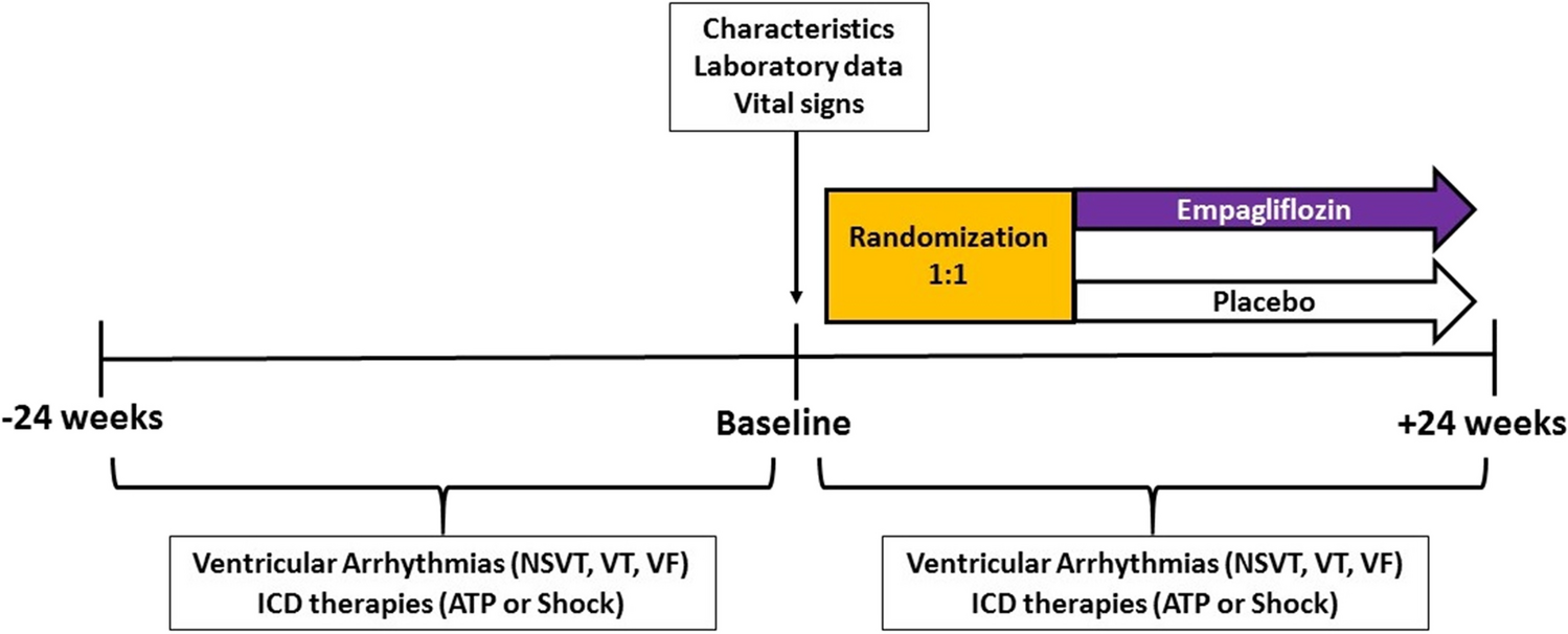 The effects of empagliflozin on ventricular arrhythmias in heart failure patients with an implantable cardioverter-defibrillator: a double-blind randomized controlled trial