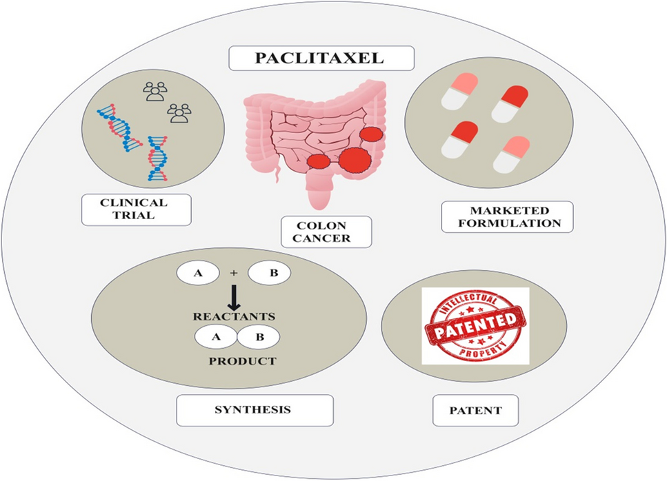 Paclitaxel in colon cancer management: from conventional chemotherapy to advanced nanocarrier delivery systems
