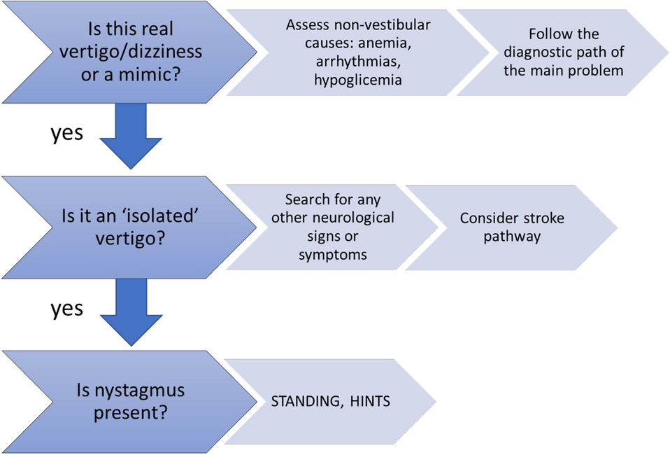 Consensus paper on the management of acute isolated vertigo in the emergency department