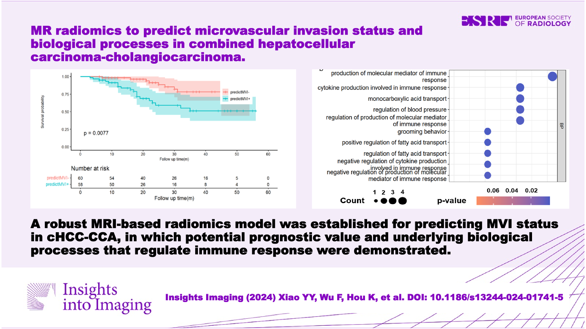 MR radiomics to predict microvascular invasion status and biological process in combined hepatocellular carcinoma-cholangiocarcinoma