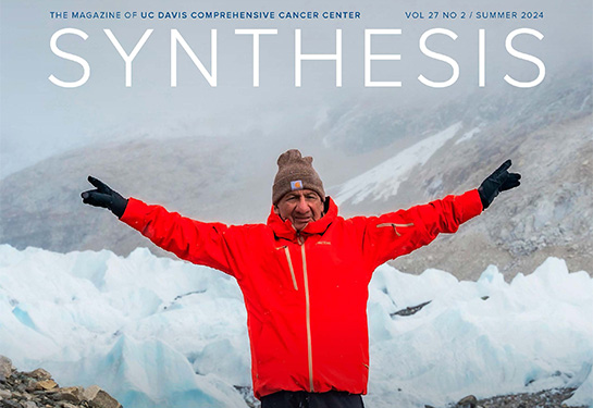 The summer issue of Synthesis magazine is online