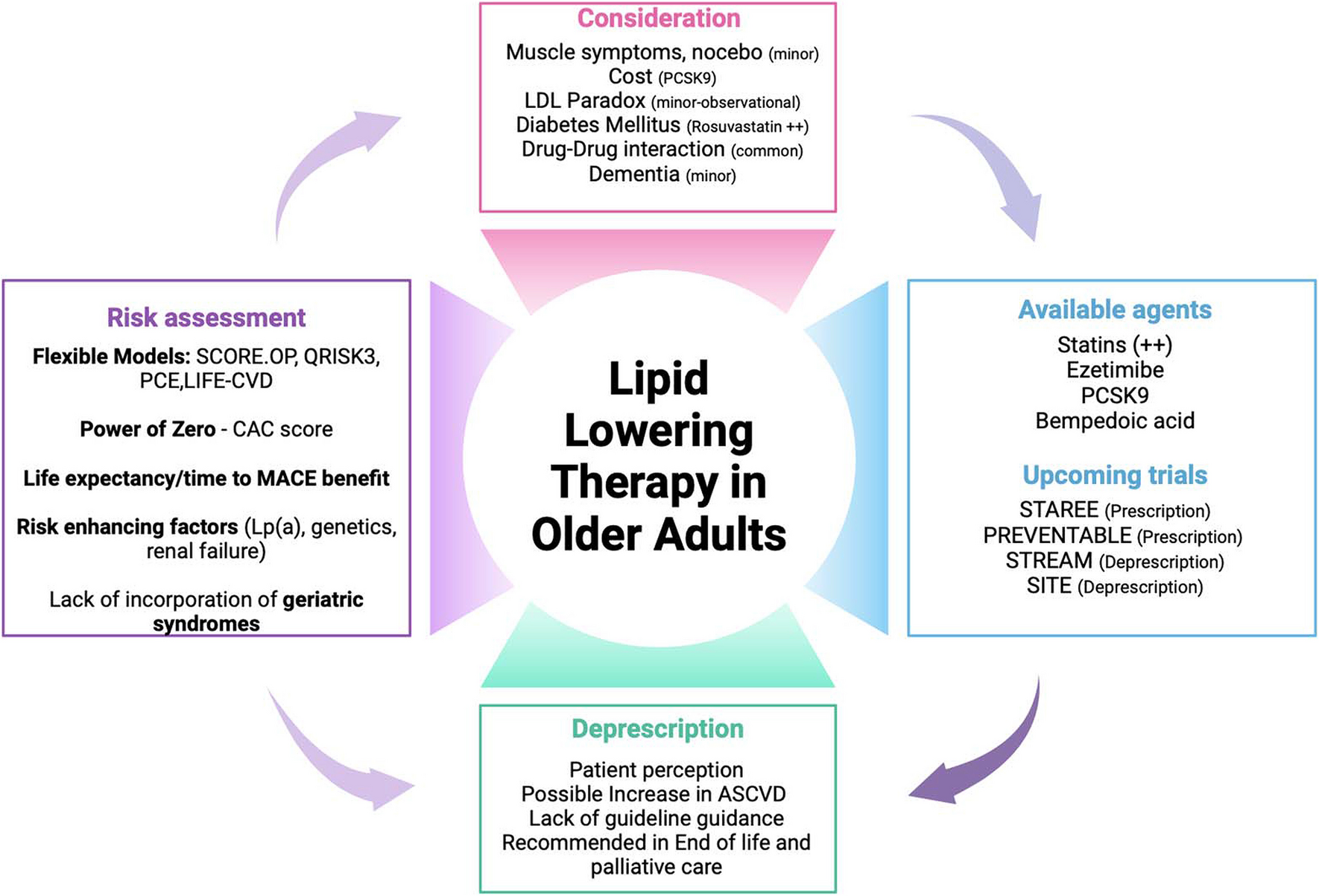 Cholesterol Lowering in Older Adults: Should We Wait for Further Evidence?