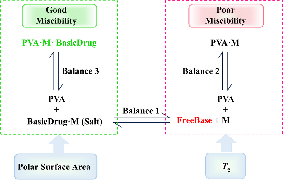 Effect of Physicochemical Properties on the Basic Drug-Acid-Polymer Interactions and Miscibility in PVA Based Orodispersible Films