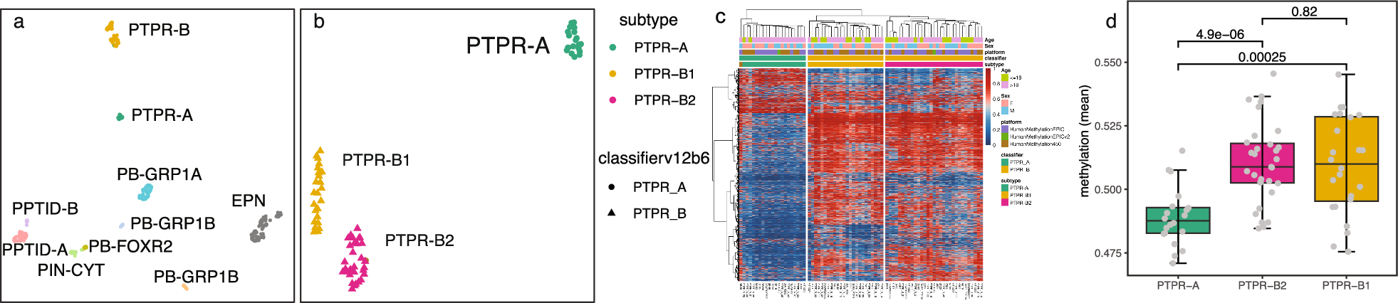 Papillary tumor of the pineal region: analysis of DNA methylation profiles and clinical outcomes in 76 cases