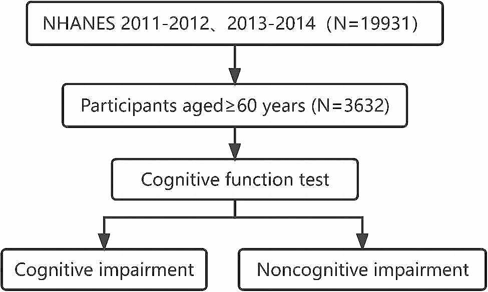 Very high high-density lipoprotein cholesterol may be associated with higher risk of cognitive impairment in older adults