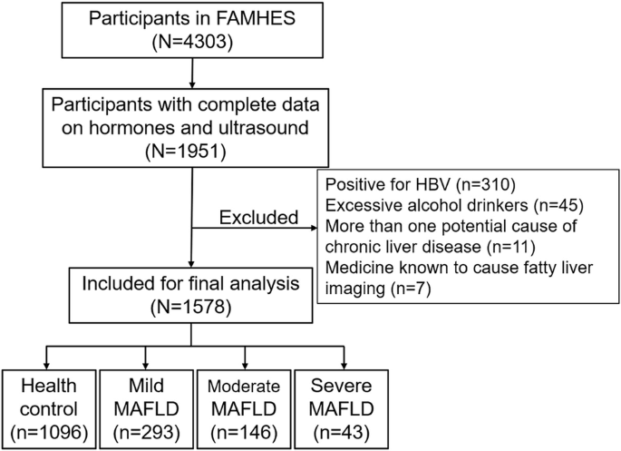 The relationship between follicle-stimulating hormone and metabolic dysfunction-associated fatty liver disease in men