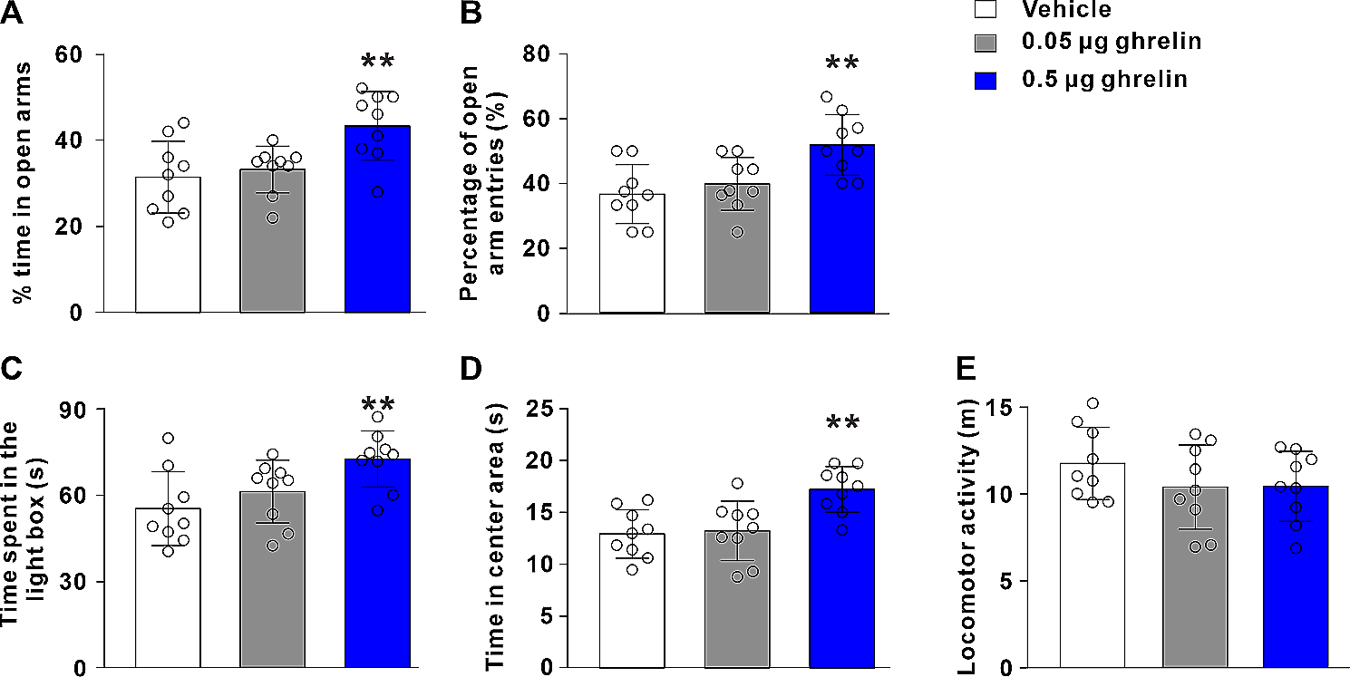 Nucleus accumbens ghrelin signaling controls anxiety-like behavioral response to acute stress