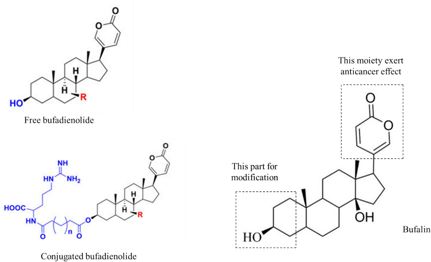 Pharmacological insights and role of bufalin (bufadienolides) in inflammation modulation: a narrative review