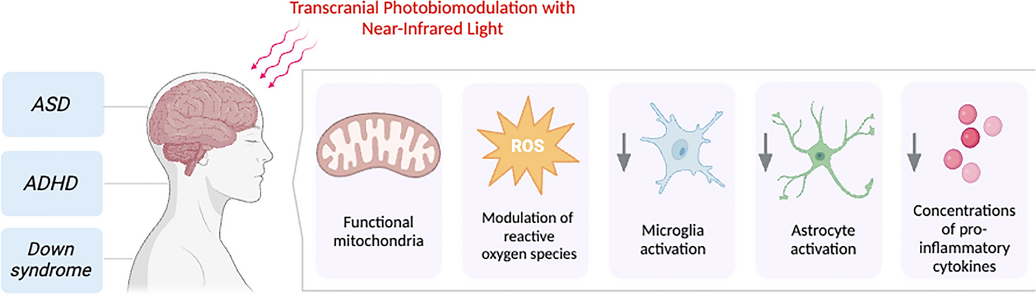 Transcranial photobiomodulation for neurodevelopmental disorders: a narrative review