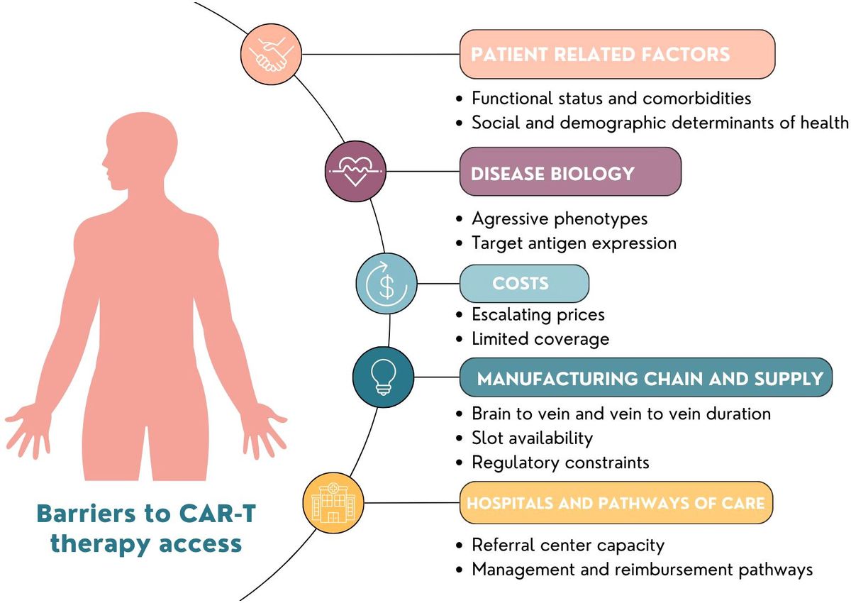 Obstacles to global implementation of CAR T cell therapy in myeloma and lymphoma