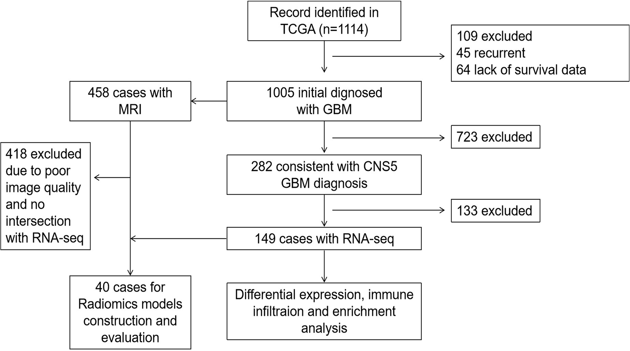 Characterizing the relationship between MRI radiomics and AHR expression and deriving a predictive model for prognostic assessment in glioblastoma