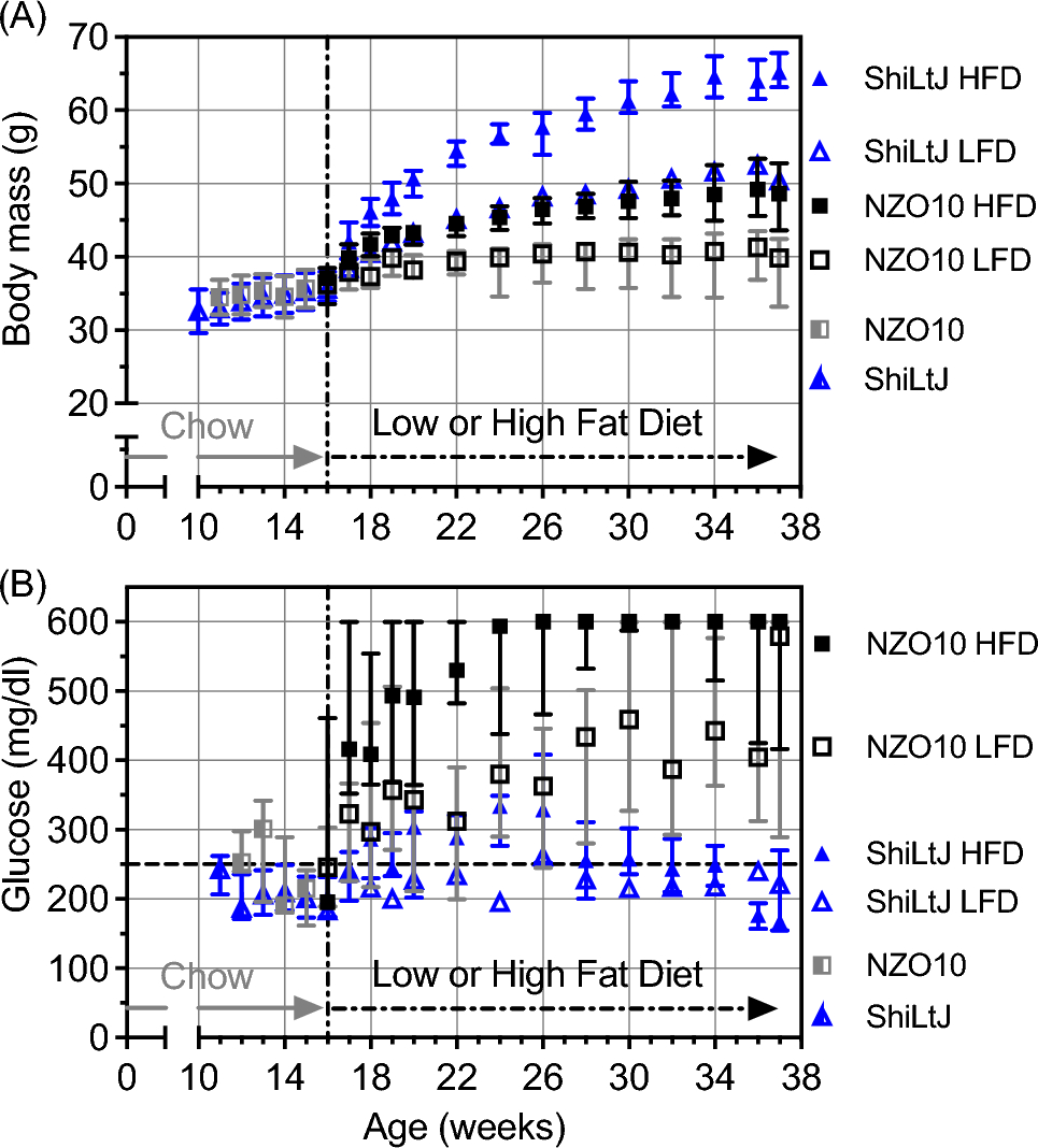 Bone Fragility in High Fat Diet-induced Obesity is Partially Independent of Type 2 Diabetes in Mice