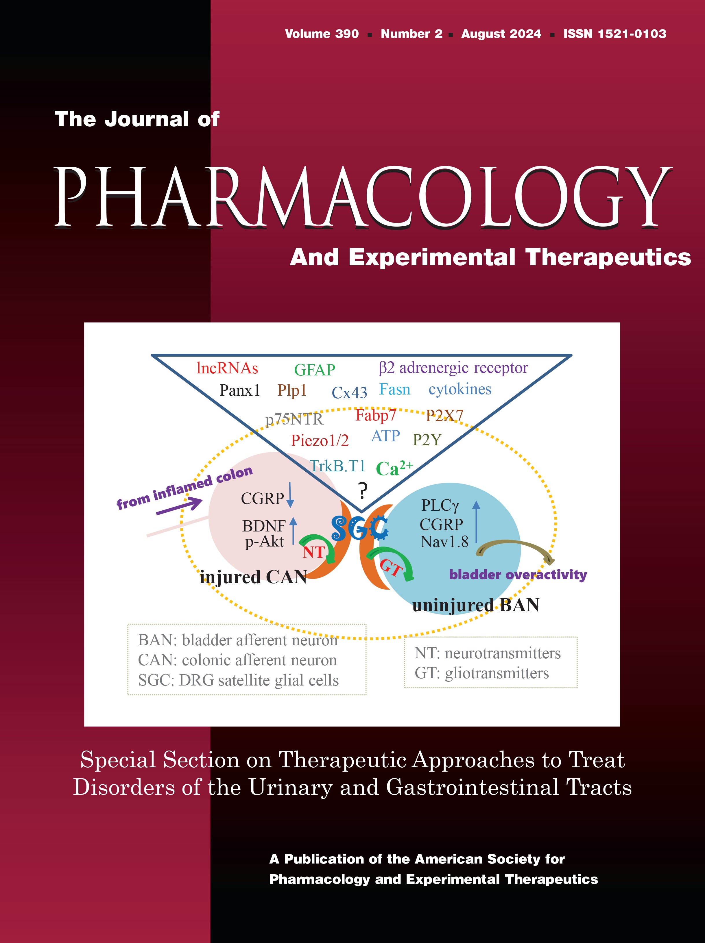 Therapeutic Approaches for Urologic Chronic Pelvic Pain Syndrome; Management: Research Advances, Experimental Targets, and Future Directions [Therapeutic Approaches to Treat Disorders of the Genitourinary and Gastrointestinal Tracts]