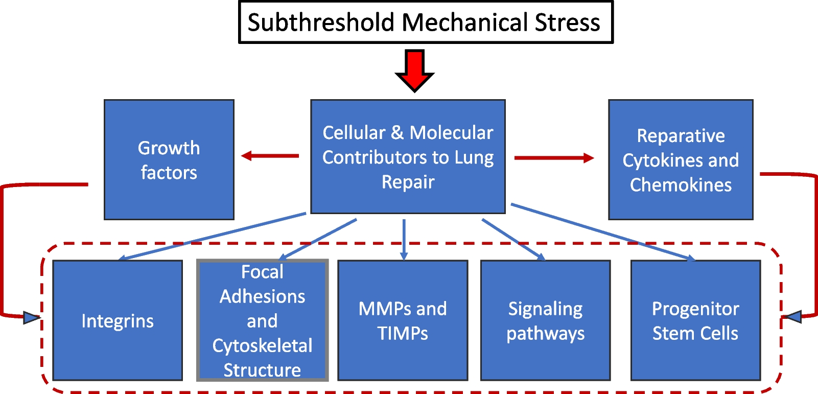Does ‘sub-threshold’ ventilatory stress promote healing after lung injury?