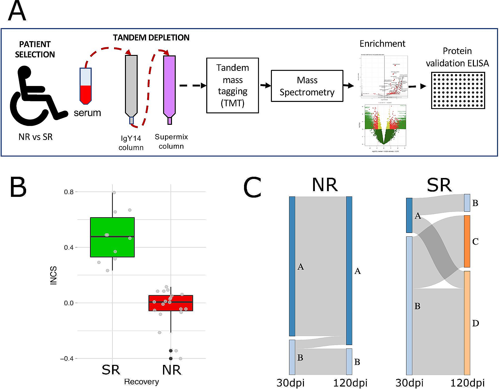 Untargeted blood serum proteomics identifies novel proteins related to neurological recovery after human spinal cord injury