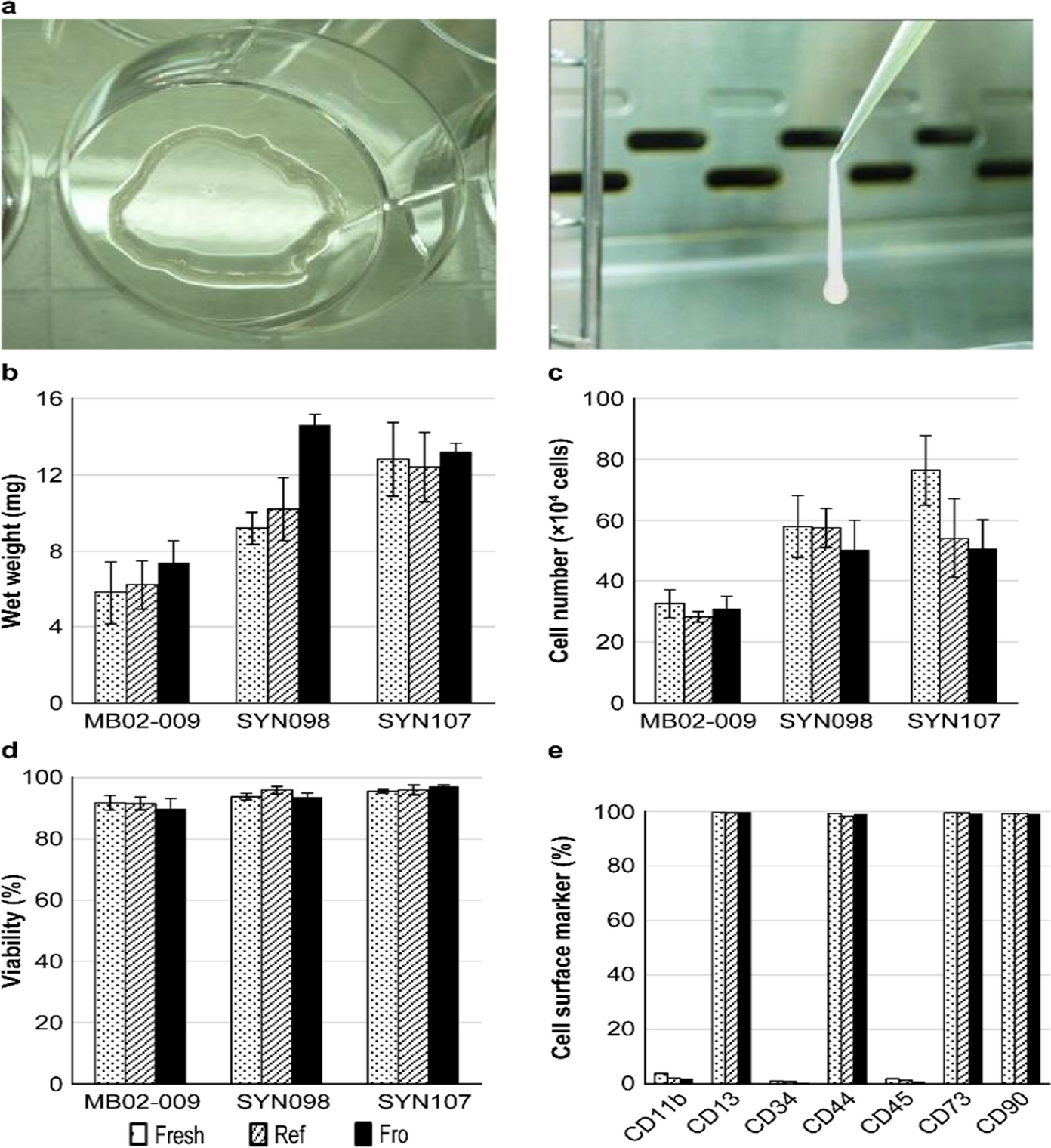 Development of scaffold-free tissue-engineered constructs derived from mesenchymal stem cells with serum-free media for cartilage repair and long-term preservation