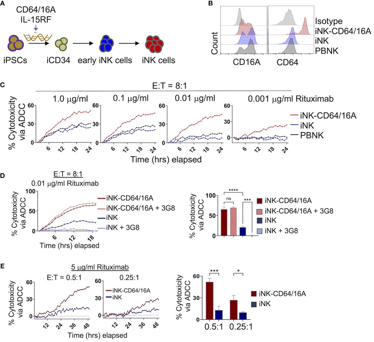 iPSC-derived NK cells expressing high-affinity IgG Fc receptor fusion CD64/16A to mediate flexible, multi-tumor antigen targeting for lymphoma
