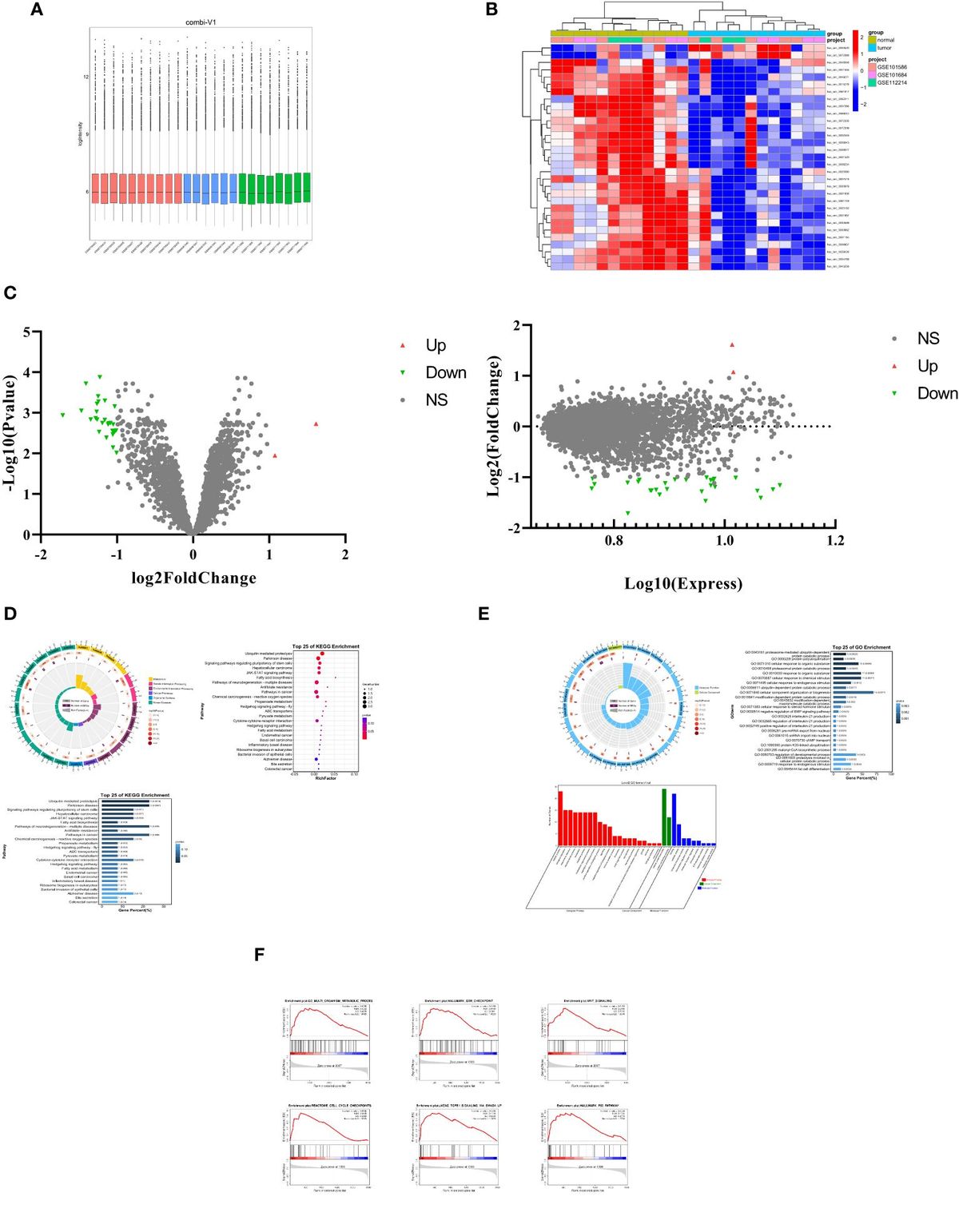 Circ_BBS9 as an early diagnostic biomarker for lung adenocarcinoma: direct interaction with IFIT3 in the modulation of tumor immune microenvironment