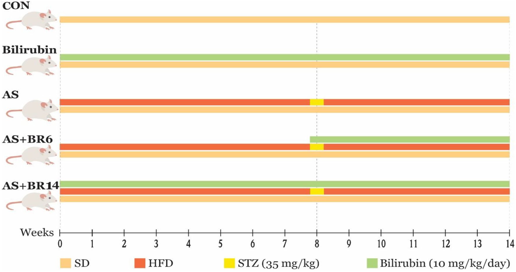 Protective and curative effects of unconjugated bilirubin on gene expression of LOX-1 and iNOS in the heart of rats receiving high-fat diet and low dose streptozotocin: a histomorphometric approach