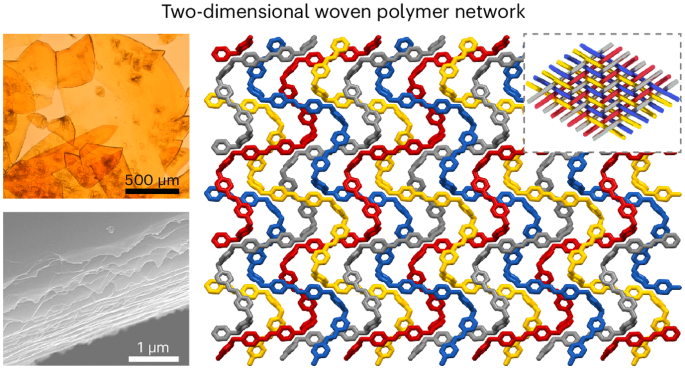 Single crystals of purely organic free-standing two-dimensional woven polymer networks