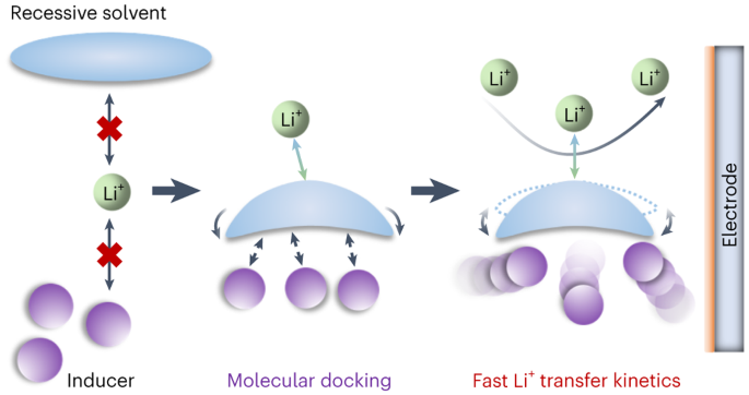 Molecular-docking electrolytes enable high-voltage lithium battery chemistries