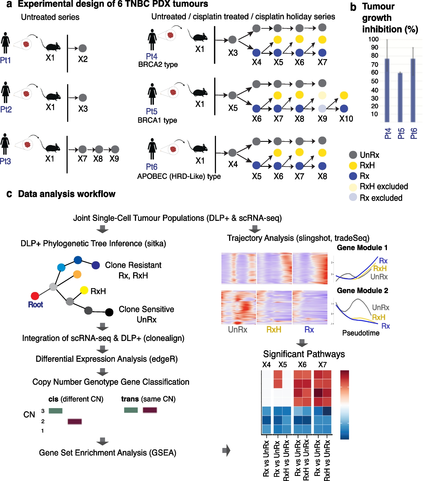 Single-cell decoding of drug induced transcriptomic reprogramming in triple negative breast cancers