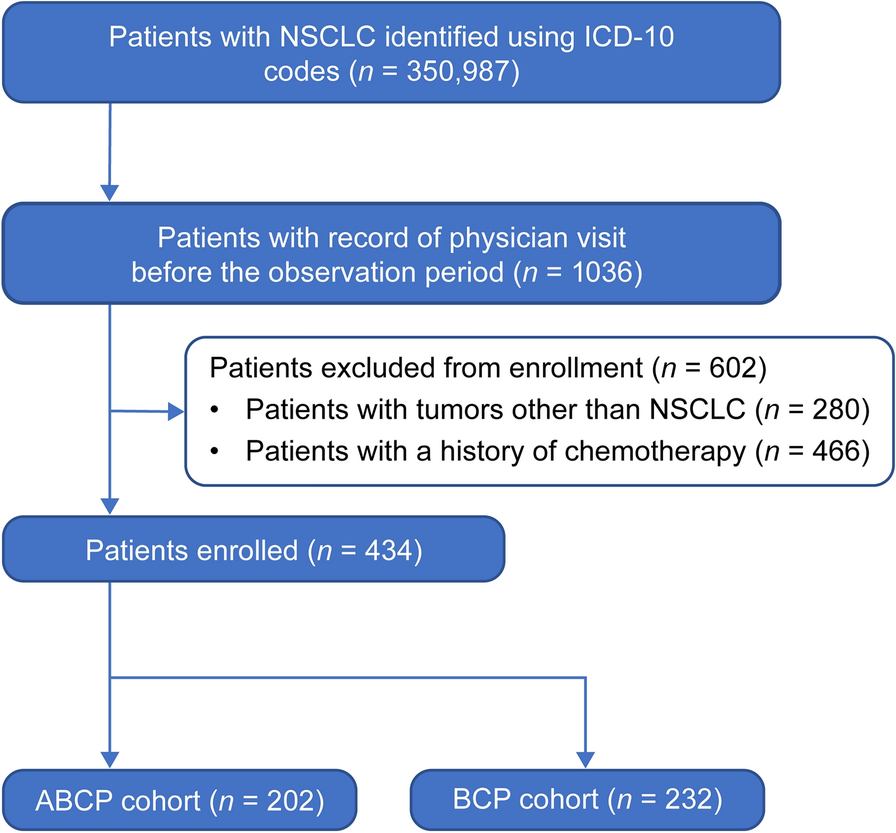 A DPC Database Study on the Safety of Atezolizumab/Bevacizumab/Carboplatin/Paclitaxel in Non-small Cell Lung Cancer in Japanese Patients