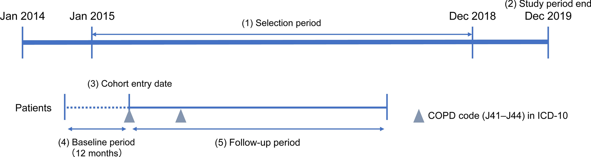 Increased Risk of Severe Cardiovascular Events Following Exacerbations of Chronic Obstructive Pulmonary Disease: Results of the EXACOS-CV Study in Japan