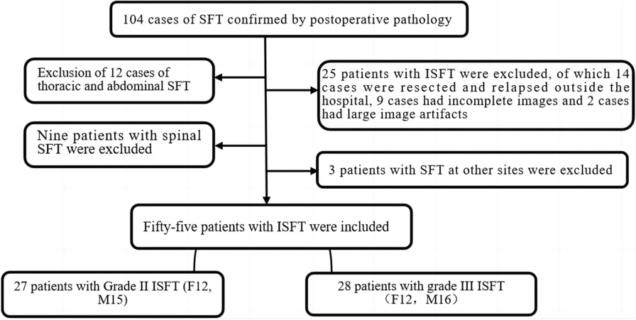 Evaluation of preoperative magnetic resonance imaging features and diagnostic effectiveness of grades II and III intracranial solitary fibroma