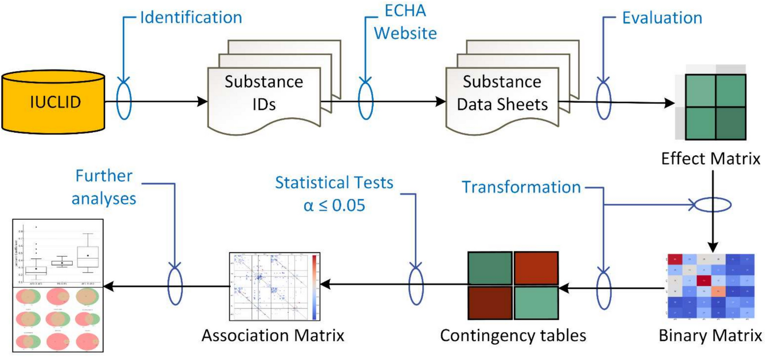 Differences in endocrine and reproductive responses to substance exposure across generations: highlighting the importance of complementary findings