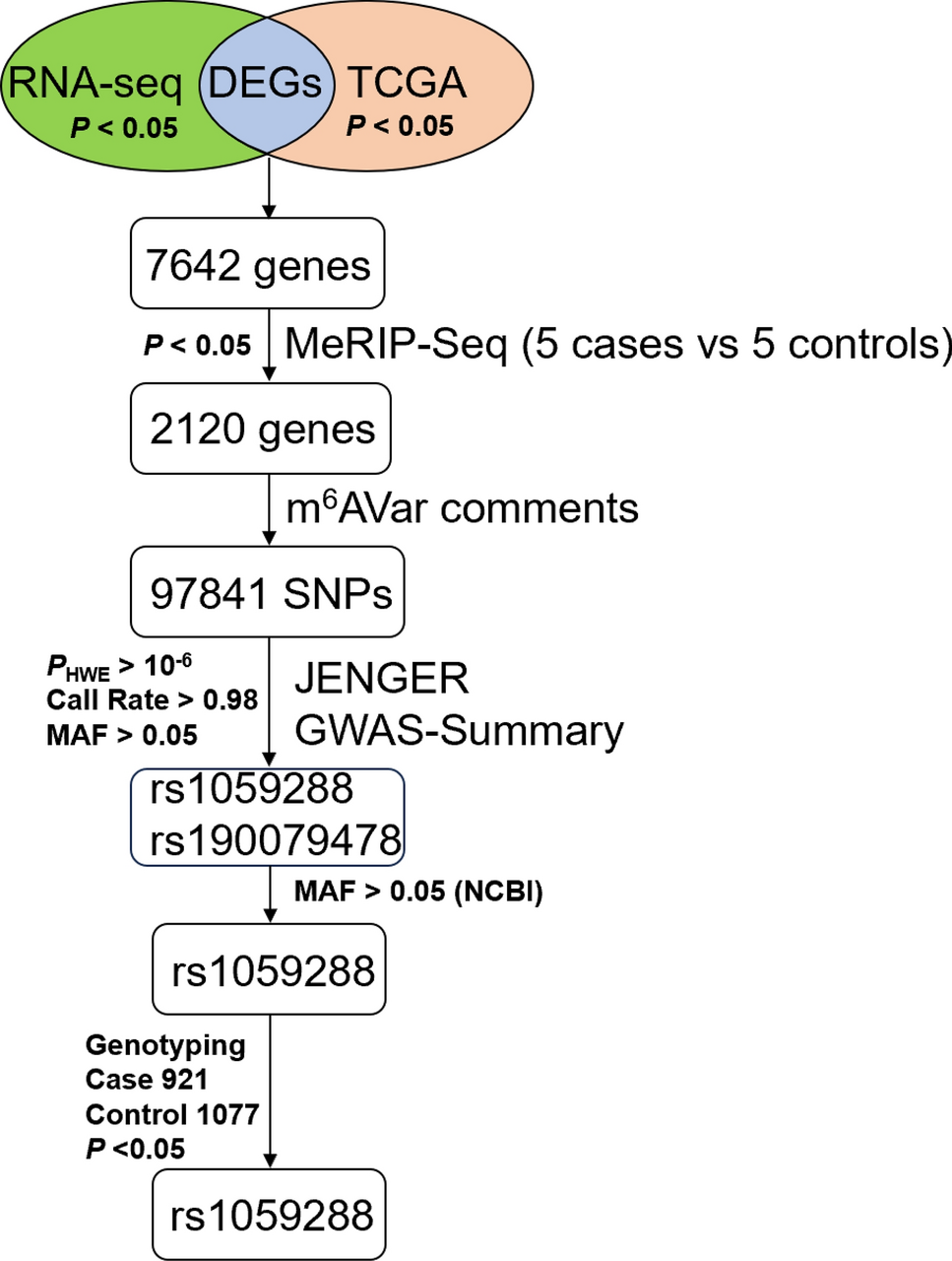 A genetic variant in the TAPBP gene enhances cervical cancer susceptibility by increasing m6A modification