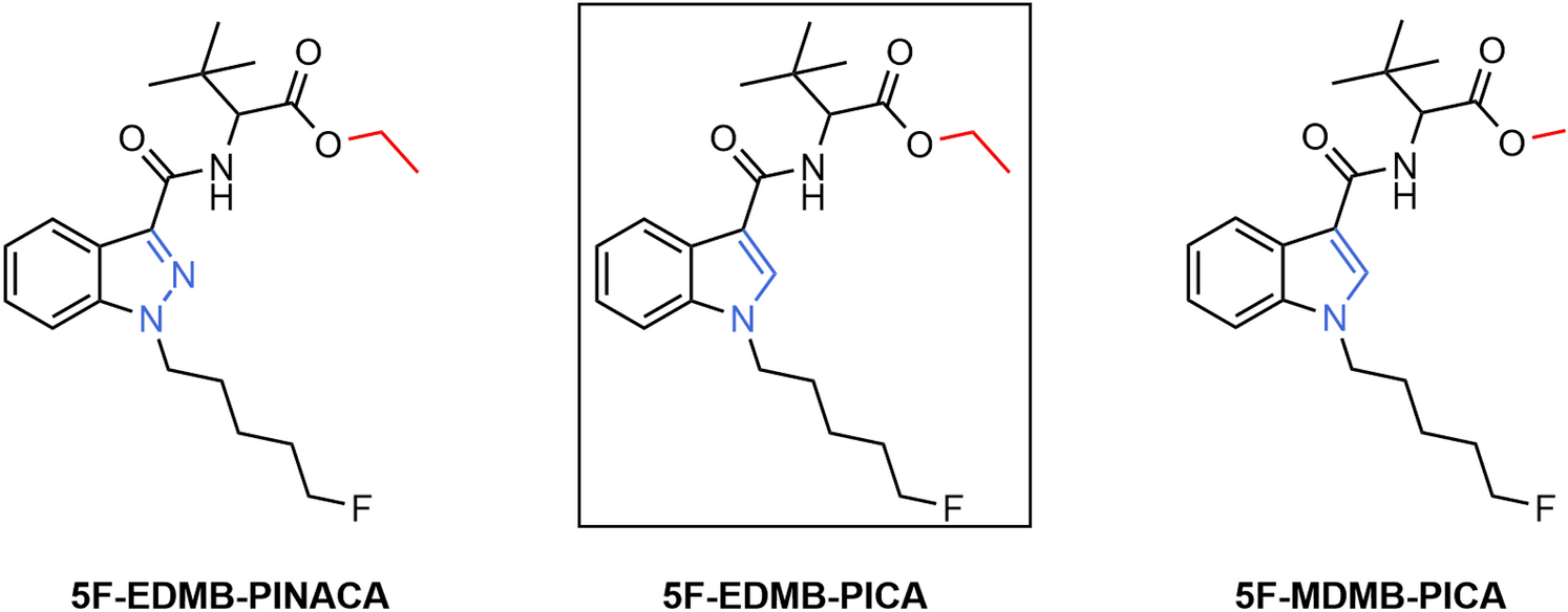 Identification of phase-I and phase-II metabolites and the metabolic pathway of the novel synthetic cannabinoid 5F-EDMB-PICA in vitro