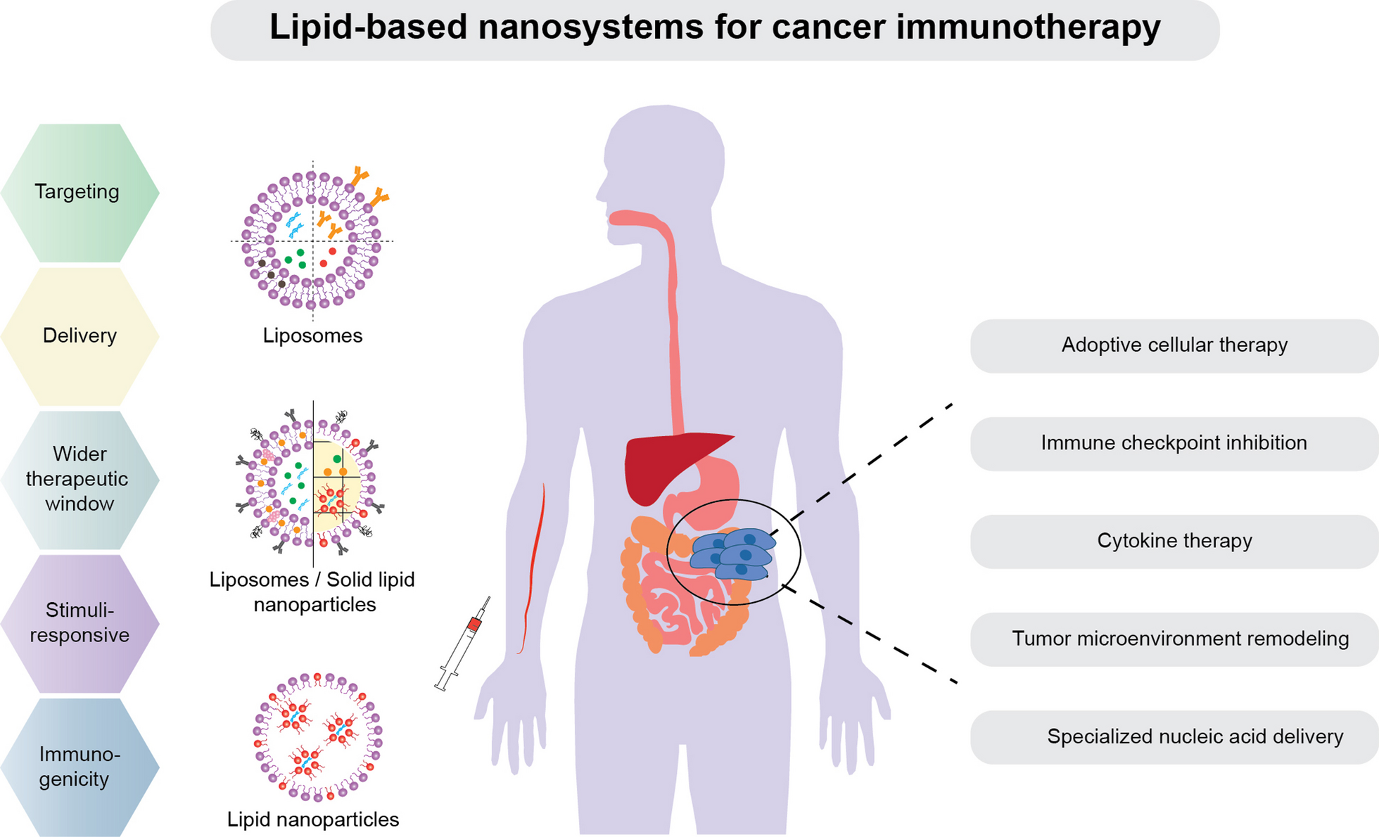 Lipid-based nanosystems: the next generation of cancer immune therapy