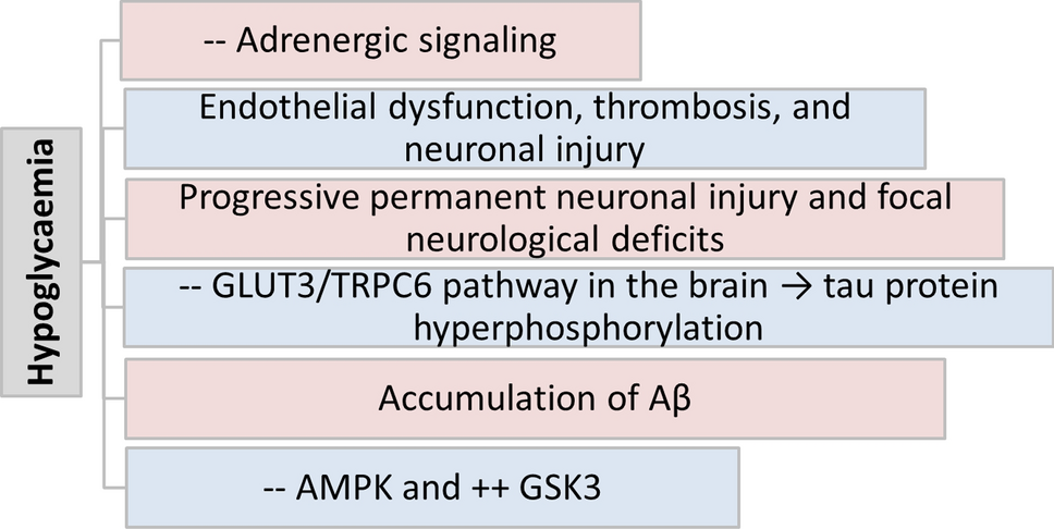 Hypoglycemia and Alzheimer Disease Risk: The Possible Role of Dasiglucagon