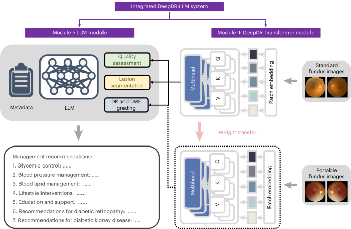 Integrated image-based deep learning and language models for primary diabetes care